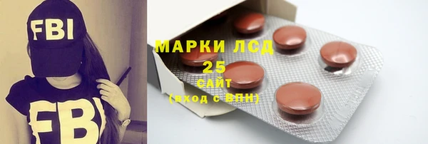 индика Пестово