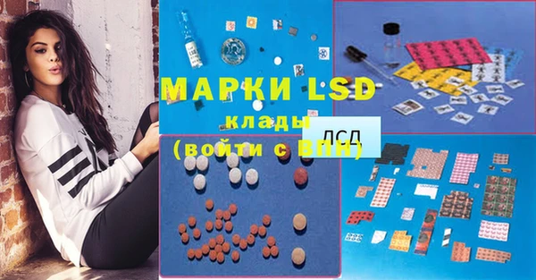 эйфоретик Покачи