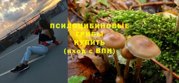 эйфоретик Покачи