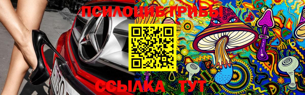 Галлюциногенные грибы Psilocybine cubensis Туймазы